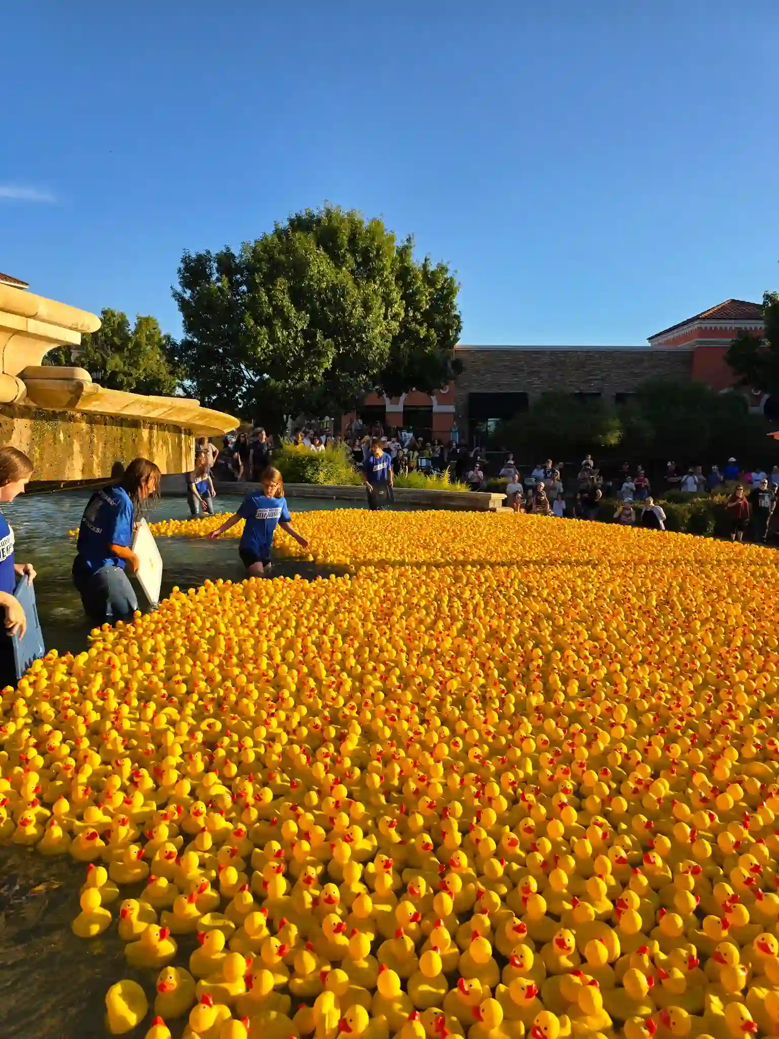Rubber Duck Regatta community event at The Harbor in Rockwall